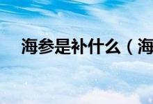 海参是补什么（海参是什么类型的补品）