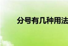 分号有几种用法（分号用法是什么）