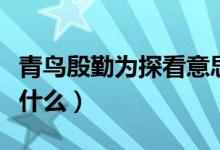 青鸟殷勤为探看意思(青鸟殷勤为探看意思是什么)