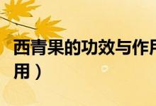 西青果的功效与作用（西青果有哪些功效与作用）