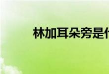 林加耳朵旁是什么字（郴的读音）