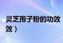 灵芝孢子粉的功效（灵芝孢子粉有什么作用功效）