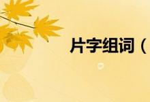 片字组词（片读音及解释）