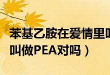 苯基乙胺在爱情里叫什么(苯基乙胺在爱情里叫做PEA对吗)