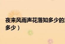 夜来风雨声花落知多少的意思（怎么理解夜来风雨声花落知多少）