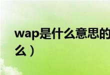 wap是什么意思的缩写（wap缩写意思是什么）