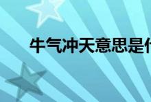 牛气冲天意思是什么（牛气冲天典故）