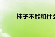 柿子不能和什么一起(食物相克)