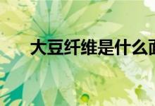 大豆纤维是什么面料（大豆纤维介绍）