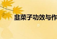 韭菜子功效与作用（韭菜子的好处）