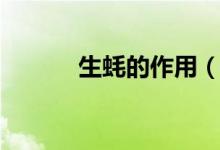 生蚝的作用（生蚝有什么功效）