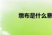墩布是什么意思（什么是墩布）