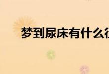 梦到尿床有什么征兆（梦到尿床含义）