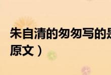 朱自清的匆匆写的是什么意思(朱自清的匆的原文)