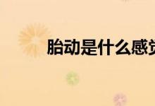 胎动是什么感觉（胎动感觉讲解）