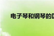 电子琴和钢琴的区别(送爱音乐的你)