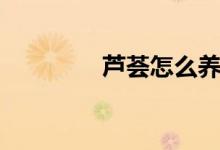芦荟怎么养（做好这六点）