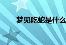 梦见吃蛇是什么预兆（是吉还是凶）
