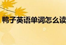 鸭子英语单词怎么读（鸭子英语单词是什么）