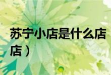 苏宁小店是什么店（一家以苏宁名义开的便利店）