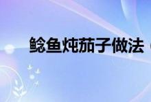 鲶鱼炖茄子做法（鲶鱼炖茄子怎么做）