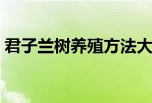 君子兰树养殖方法大全（君子兰的养殖方法）