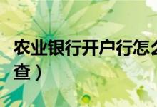 农业银行开户行怎么查（农业银行开户行如何查）