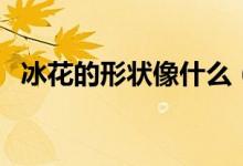 冰花的形状像什么（关于冰花形成的介绍）