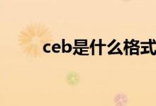 ceb是什么格式（ceb格式的介绍）