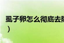 虱子卵怎么彻底去除（虱子卵彻底去除的方法）