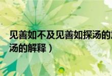 见善如不及见善如探汤的意思是什么(见善如不及见善如探汤的解释)
