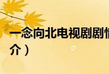 一念向北电视剧剧情（一念向北电视剧剧情简介）