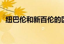 纽巴伦和新百伦的区别（两者怎么区分呢）