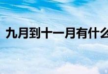 九月到十一月有什么花开（9月份开什么花）