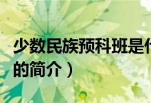 少数民族预科班是什么意思（少数民族预科班的简介）