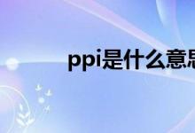 ppi是什么意思啊(ppi的意思)