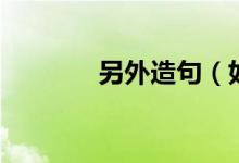 另外造句（如何用另外造句）
