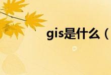 gis是什么（gis是什么意思）