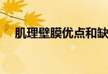 肌理壁膜优点和缺点（一起去深入了解）