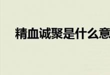 精血诚聚是什么意思（什么是精血诚聚）