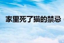 家里死了猫的禁忌(这四条禁忌必须知道)