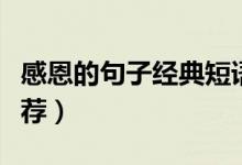 感恩的句子经典短语（感恩的句子经典短语推荐）