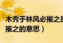 木秀于林风必摧之是什么意思（木秀于林风必摧之的意思）