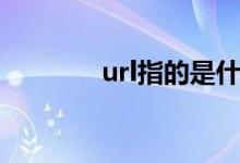 url指的是什么（url的意思）