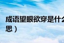 成语望眼欲穿是什么意思（成语望眼欲穿的意思）