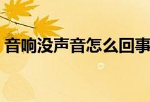 音响没声音怎么回事（音响为什么没有声音）