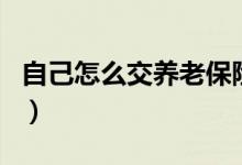 自己怎么交养老保险（自己可以交养老保险吗）