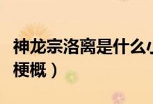 神龙宗洛离是什么小说（叶云神龙宗小说内容梗概）