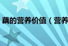 藕的营养价值（营养价值不仅高功效还很多）