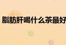 脂肪肝喝什么茶最好(脂肪肝适合喝哪些茶)